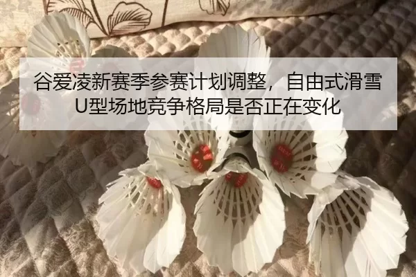 gu-ai-ling-xin-sai-ji-can-sai-ji-hua-tiao-zheng-zi-you-shi-hua-xue-xing-chang-di-jing-zheng-ge-ju-shi-fou-zheng-zai-2-260.jpg